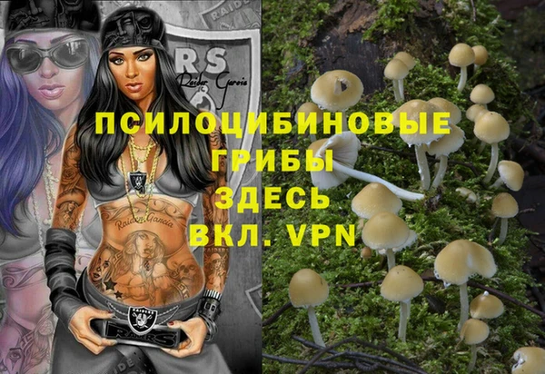 Альфа ПВП Балахна