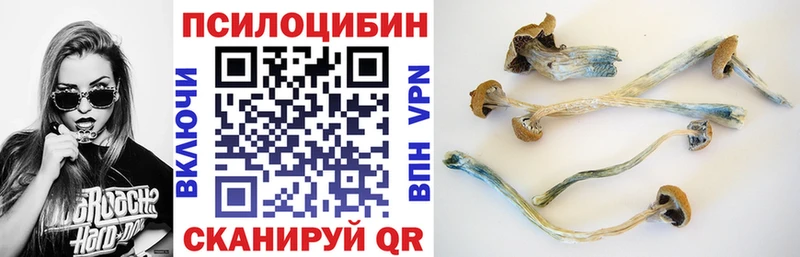 где найти hydra как войти Галлюциногенные грибы мухоморы Судогда